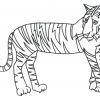 Ausmalbild Tiger Zum Ausdrucken für Tiger Zum Ausmalen