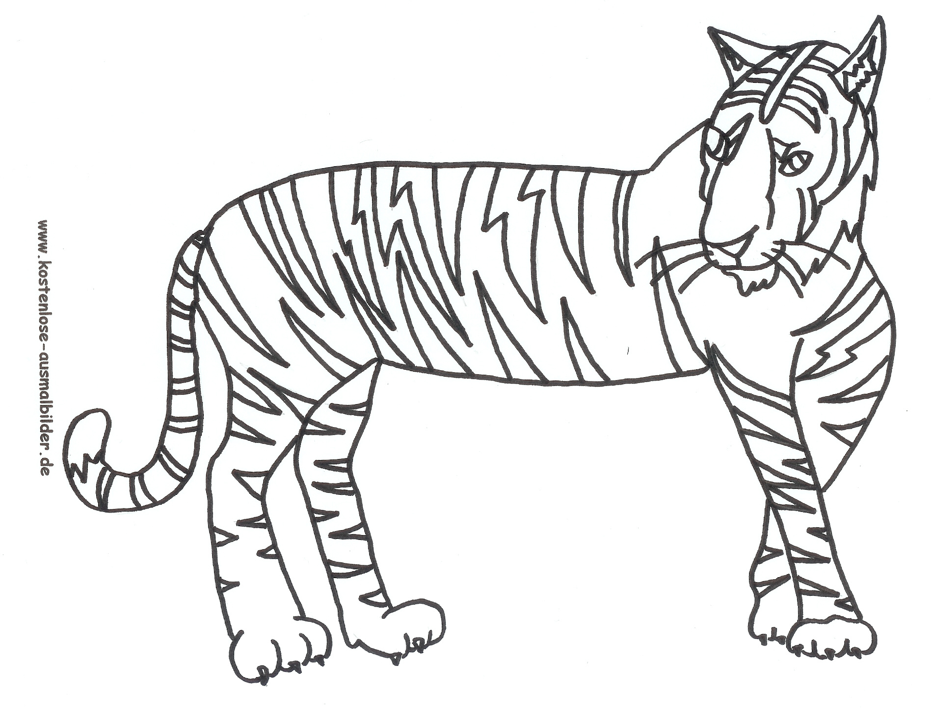 Ausmalbild Tiger Zum Ausdrucken innen Ausmalbilder Tiger