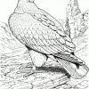Ausmalbilder Adler - Malvorlagen Kostenlos Zum Ausdrucken ganzes Ausmalbilder Adler