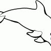 Ausmalbilder Delfine - Malvorlagen Kostenlos Zum Ausdrucken für Delfin Malvorlage