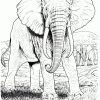 Ausmalbilder Elefanten - Malvorlagen Kostenlos Zum Ausdrucken bei Malvorlage Elefant