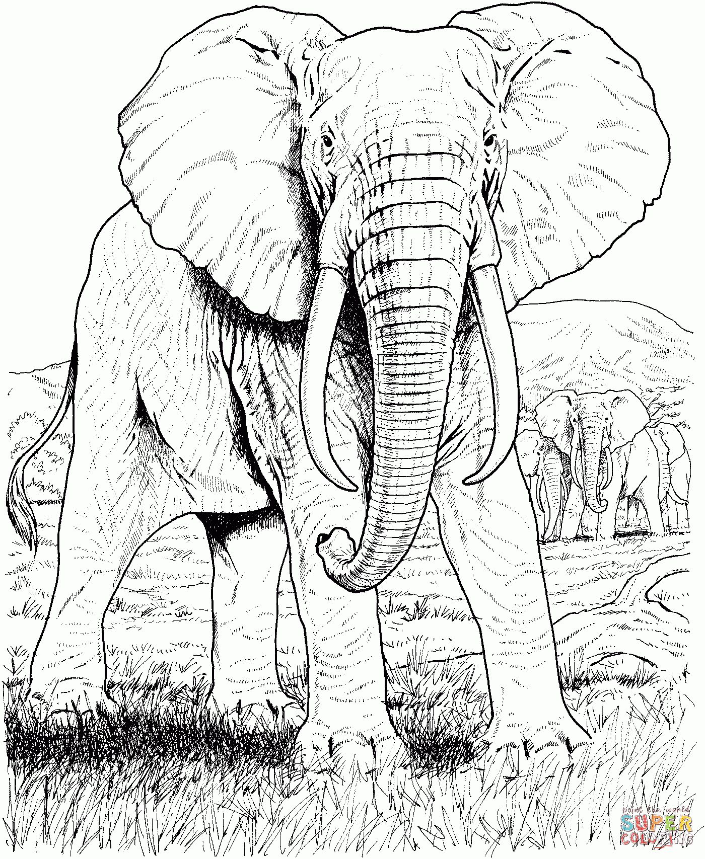 Ausmalbilder Elefanten - Malvorlagen Kostenlos Zum Ausdrucken bei Malvorlage Elefant