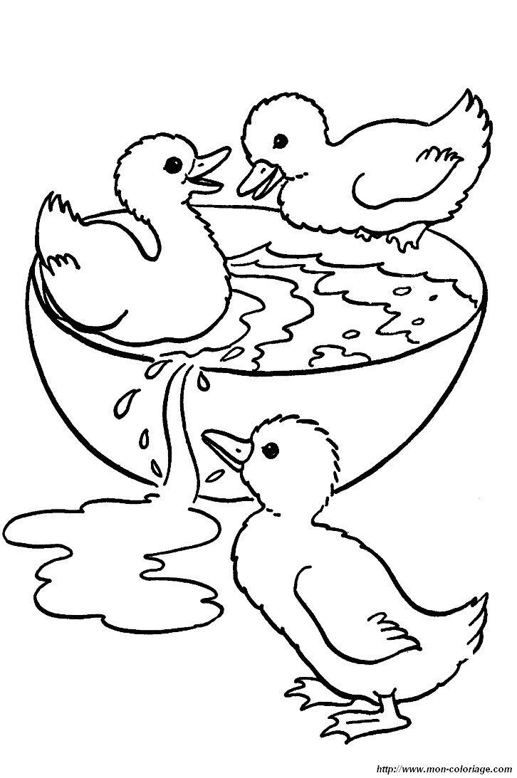 Ausmalbilder Ente, Bild Ente 14 bestimmt für Ausmalbild Ente