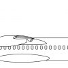 Ausmalbilder Flugzeuge bei Flugzeug Zum Ausmalen