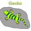 Ausmalbilder Für Kinder 🎨 Malbuch Für Kinder 🐸 Malen Für Kinder 🌳  Ausmalbilder 🐸 Gecko für Gecko Malvorlage