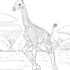 Ausmalbilder Giraffen - Malvorlagen Kostenlos Zum Ausdrucken mit Giraffe Ausmalbild