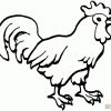 Ausmalbilder Hühner - Malvorlagen Kostenlos Zum Ausdrucken bestimmt für Hühner Ausmalbilder