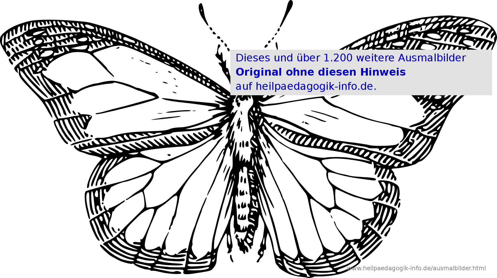 Ausmalbilder Käfer, Schmetterlinge, Insekten bei Schmetterling Malvorlagen