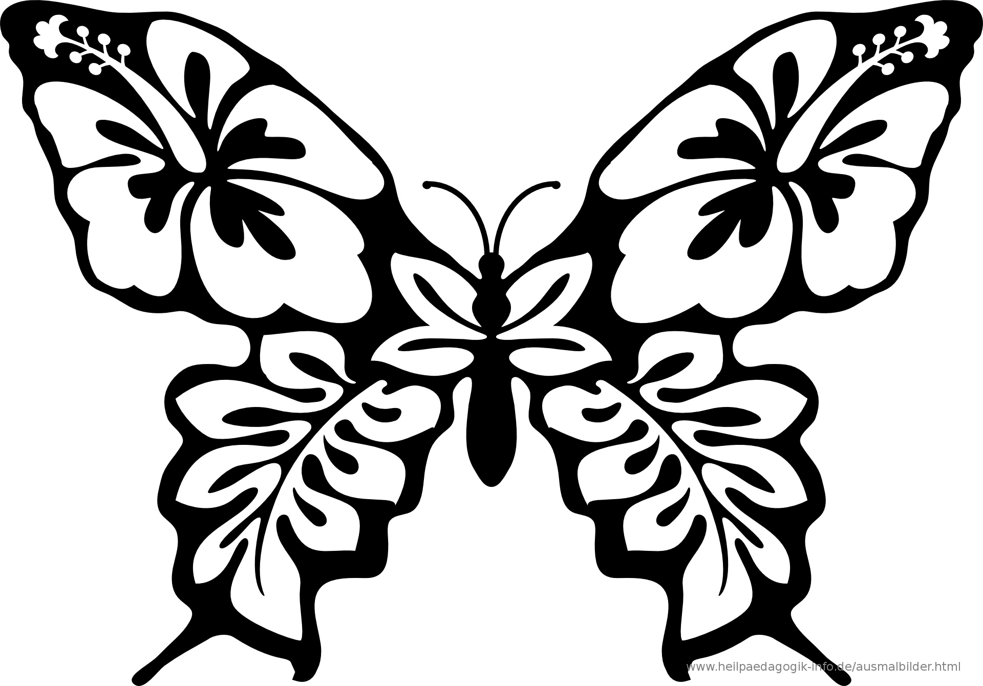 Ausmalbilder Käfer, Schmetterlinge, Insekten für Schmetterling Malvorlagen