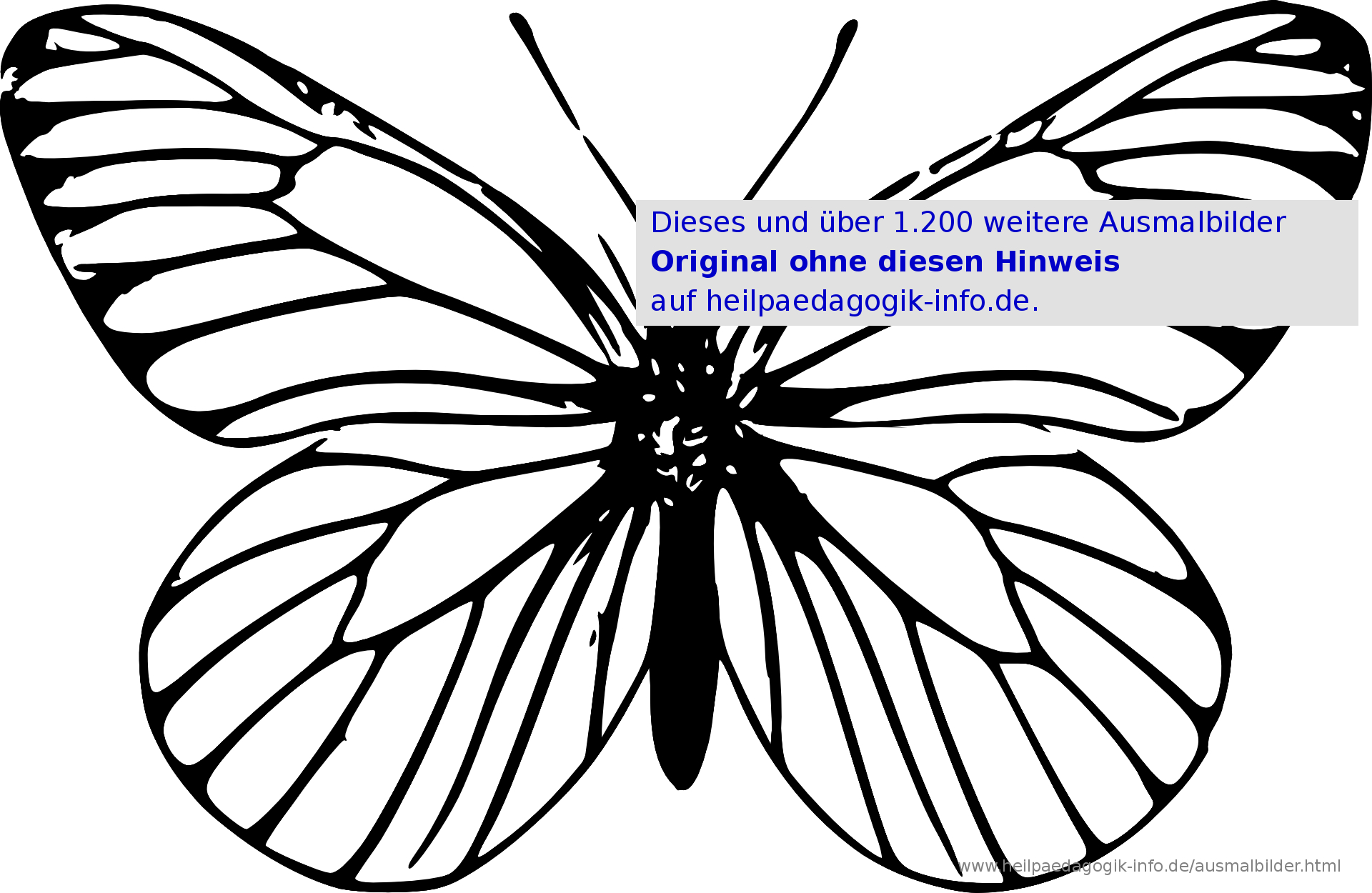 Ausmalbilder Käfer, Schmetterlinge, Insekten über Schmetterling Malvorlage