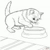 Ausmalbilder Katzen - Malvorlagen Kostenlos Zum Ausdrucken verwandt mit Katzen Ausmalbilder Ausdrucken