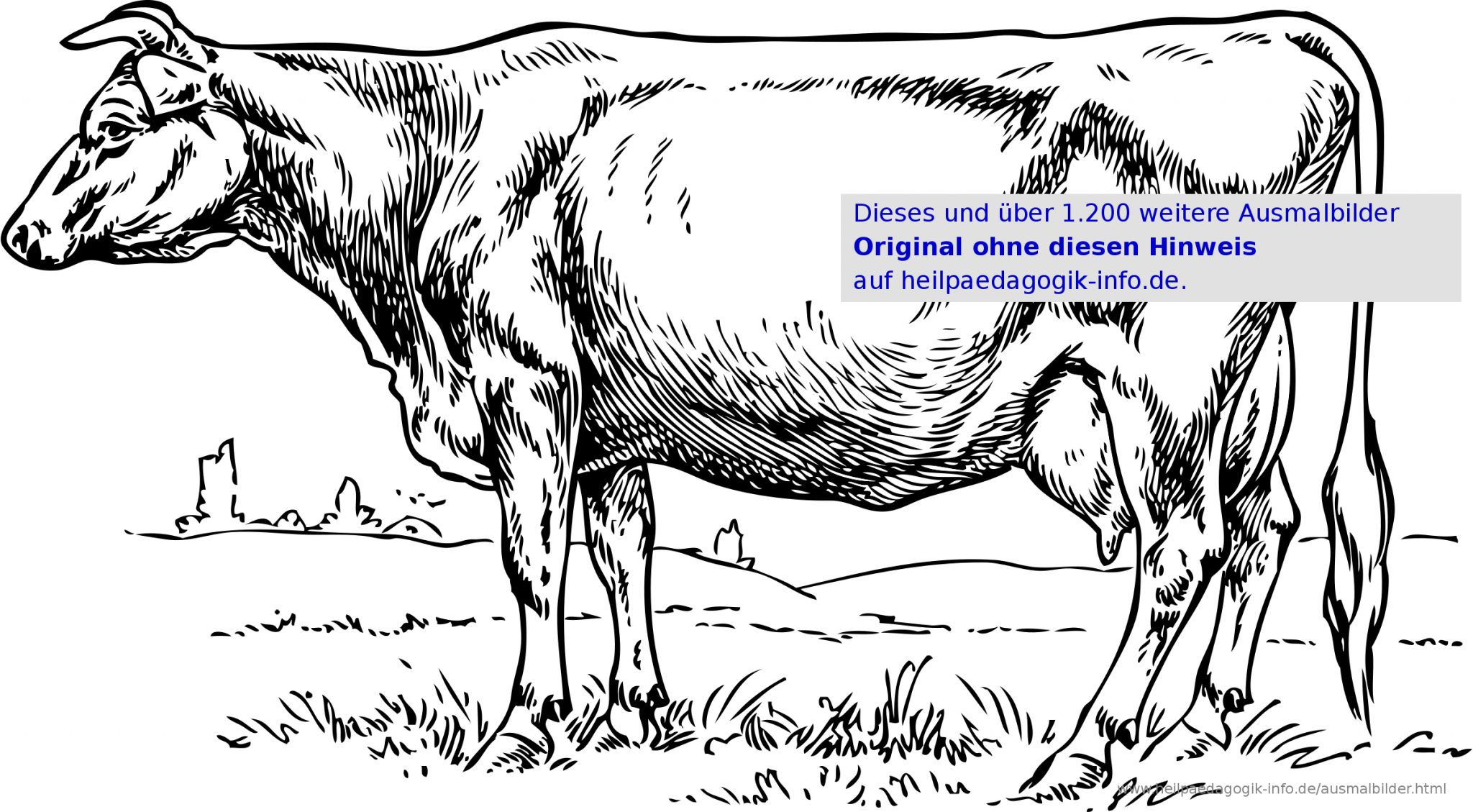 Зарисовки сельскохозяйственных животных
