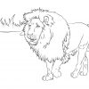 Ausmalbilder Löwen - Malvorlagen Kostenlos Zum Ausdrucken bei Malvorlage Löwe
