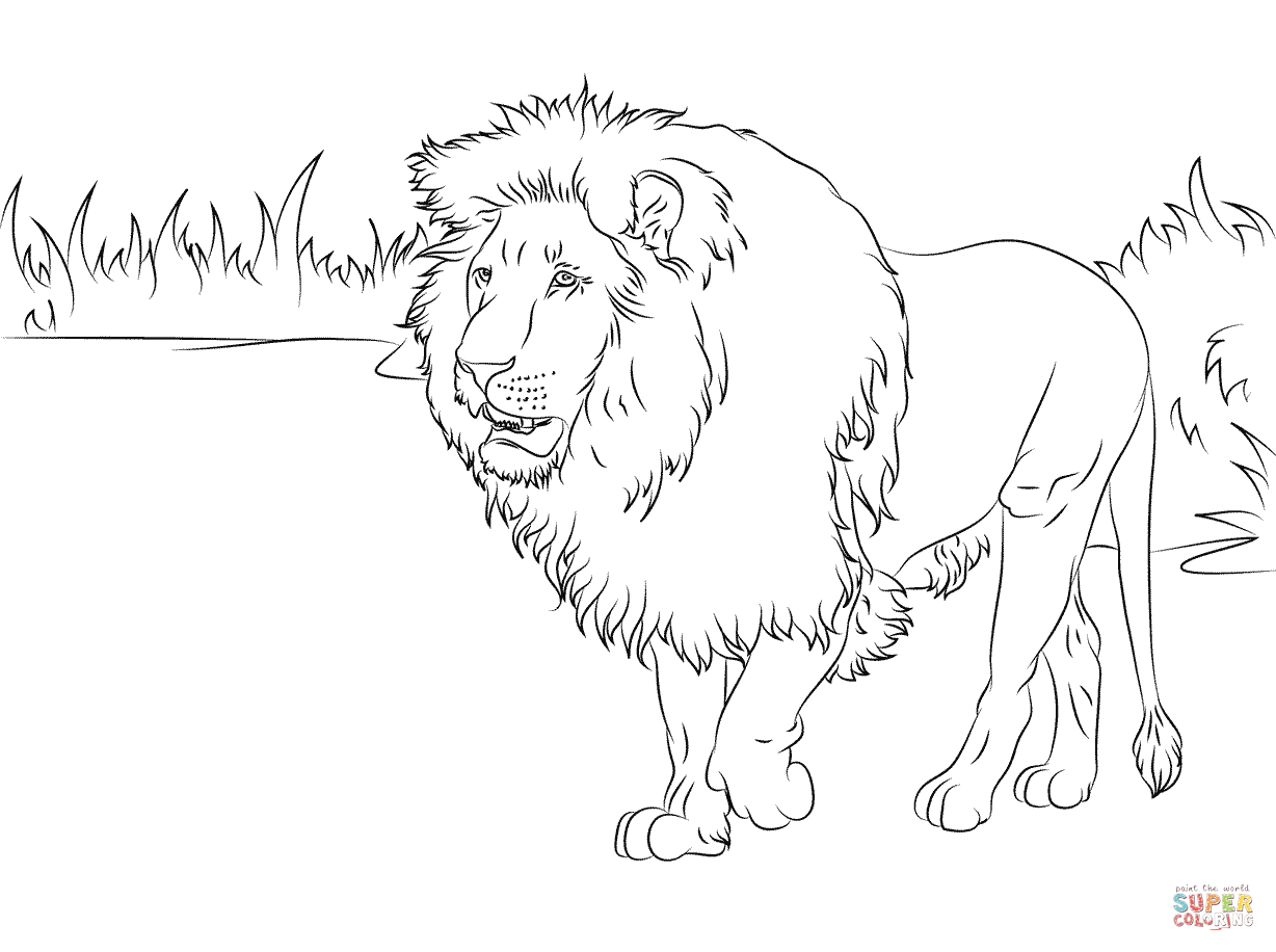Ausmalbilder Löwen - Malvorlagen Kostenlos Zum Ausdrucken bestimmt für Ausmalbild Löwe