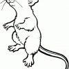 Ausmalbilder Mäuse - Malvorlagen Kostenlos Zum Ausdrucken bestimmt für Ausmalbilder Die Maus