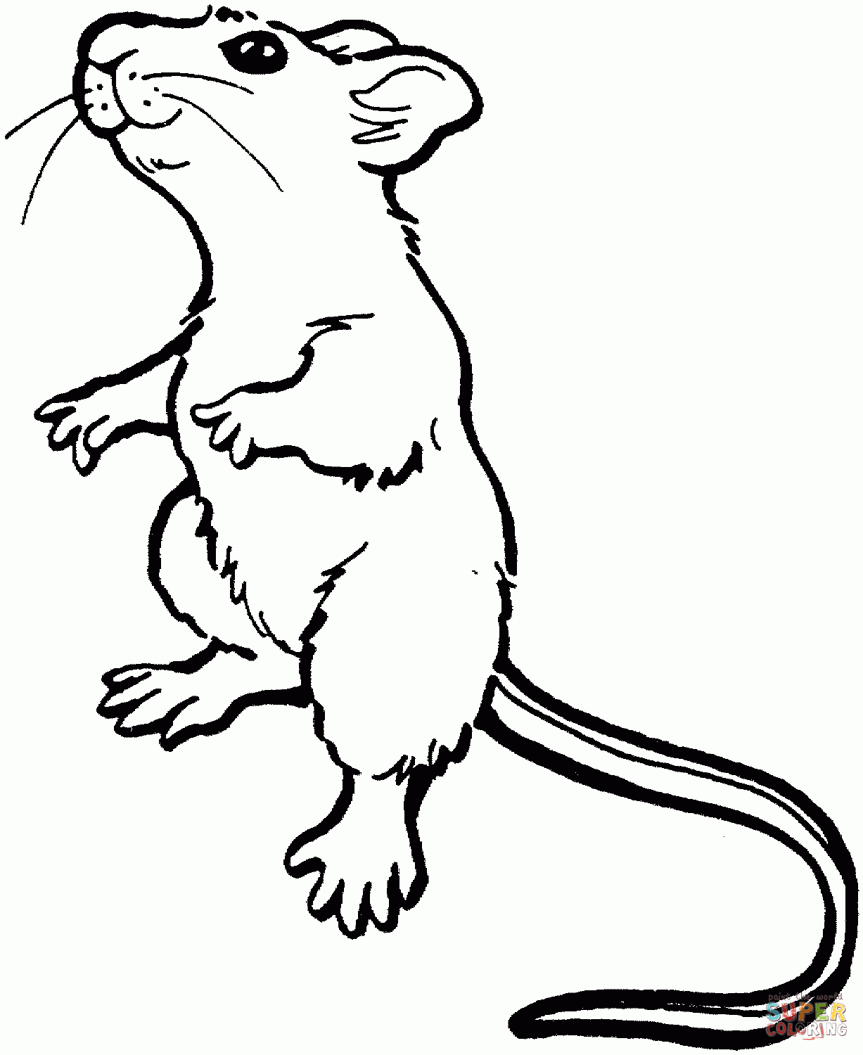 Ausmalbilder Mäuse - Malvorlagen Kostenlos Zum Ausdrucken bestimmt für Ausmalbilder Die Maus