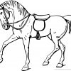 Ausmalbilder Pferde 04 | Ausmalbilder Pferde, Malvorlagen bei Malvorlagen Pferde