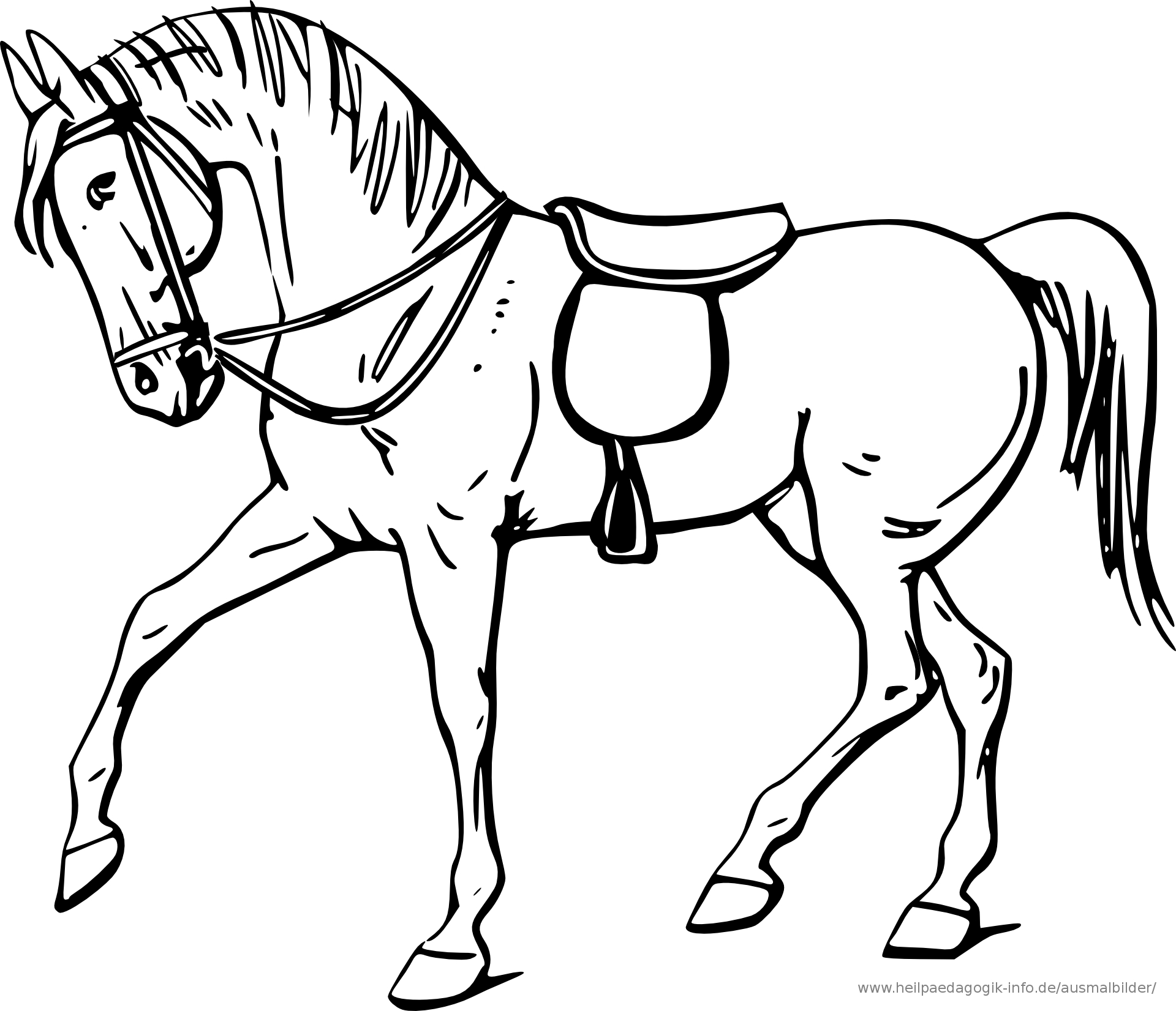 Ausmalbilder Pferde 04 | Ausmalbilder Pferde, Malvorlagen bei Malvorlagen Pferde