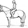 Ausmalbilder Pferde Dressur | Animal Coloring Pages über Ausmalbilder Reiterin