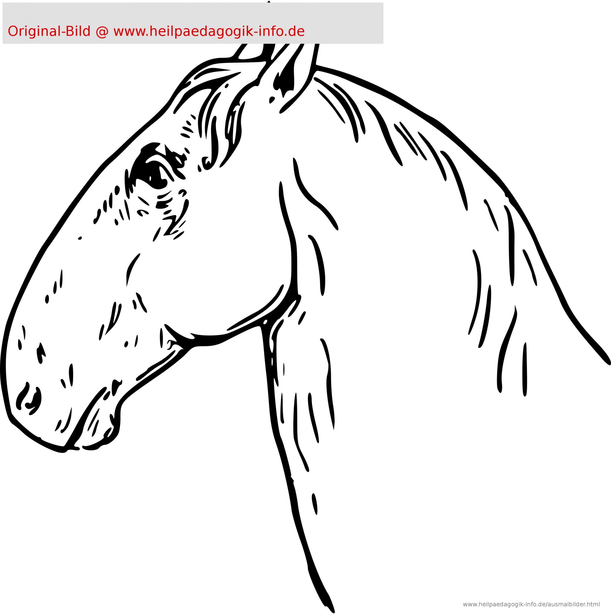 malvorlage pferdekopf einfach | coloring and malvorlagan