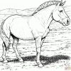 Ausmalbilder Pferde - Malvorlagen Kostenlos Zum Ausdrucken ganzes Pferde Ausmalbilder Zum Drucken