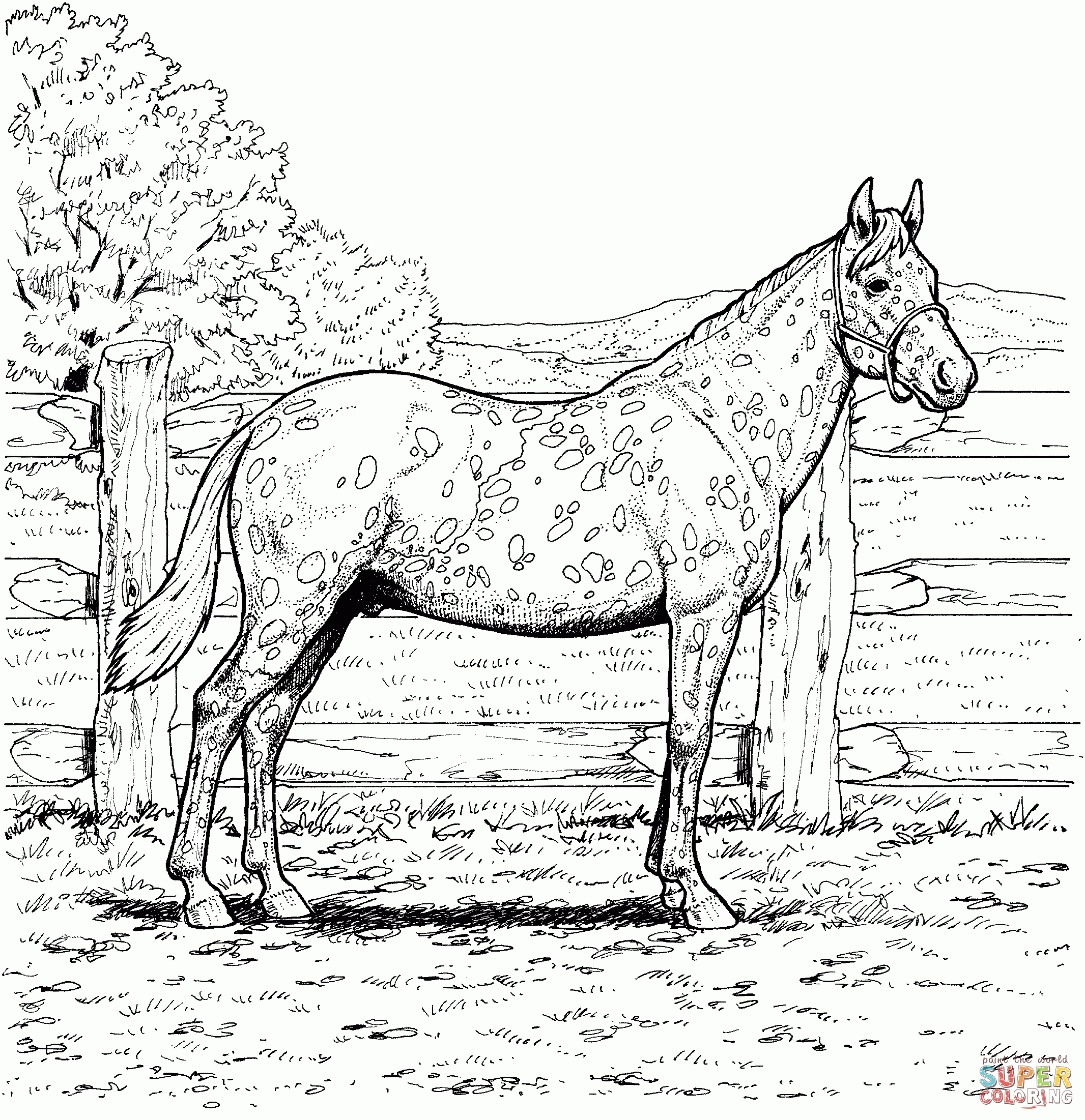 Ausmalbilder Pferde - Malvorlagen Kostenlos Zum Ausdrucken mit Ausmalbilder Pferde Und Ponys
