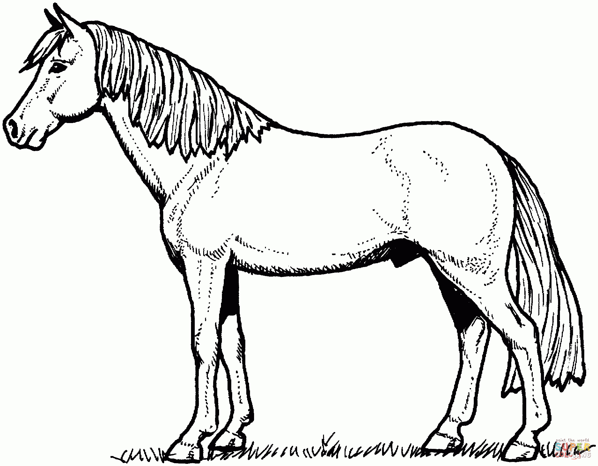 Ausmalbilder Pferde - Malvorlagen Kostenlos Zum Ausdrucken verwandt mit Pferde Bilder Ausmalen