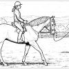 Ausmalbilder Pferde Mit Reiterin | Ausmalbilder Pferde in Pferde Bilder Zum Ausmalen Und Ausdrucken