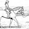 Ausmalbilder Pferde Und Reiter | Horse Coloring Pages, Horse ganzes Ausmalbilder Von Pferden Zum Ausdrucken