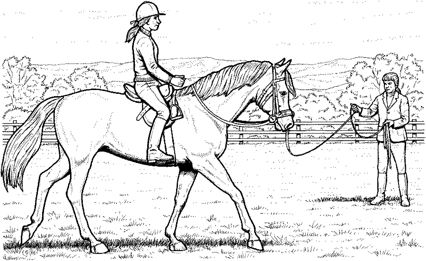 Ausmalbilder Pferde Und Reiter | Horse Coloring Pages, Horse ganzes Ausmalbilder Von Pferden Zum Ausdrucken