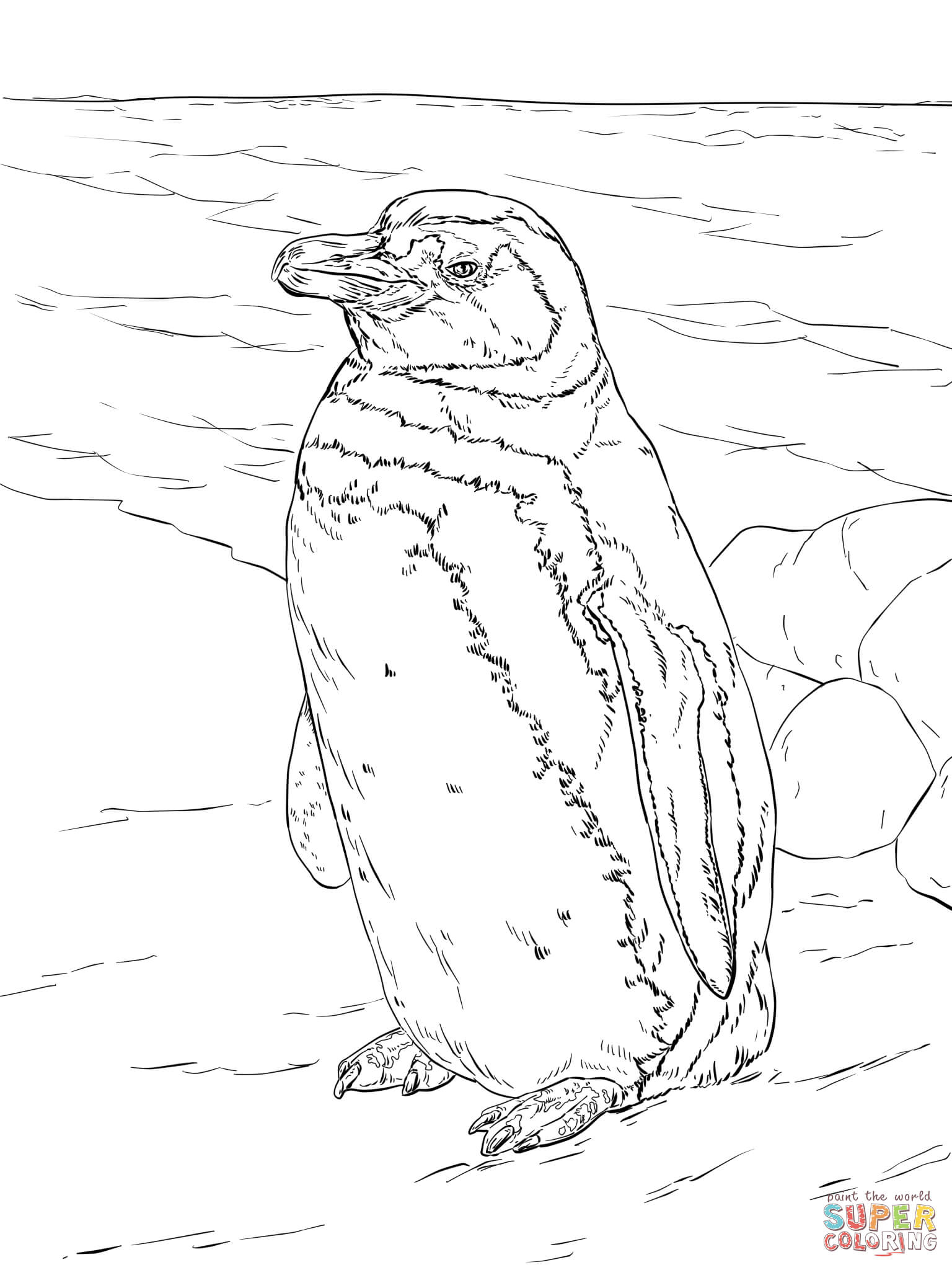Ausmalbilder Pinguine - Malvorlagen Kostenlos Zum Ausdrucken verwandt mit Bilder Von Pinguinen Zum Ausdrucken
