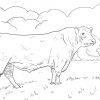Ausmalbilder Rinder - Malvorlagen Kostenlos Zum Ausdrucken verwandt mit Malvorlagen Kühe