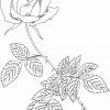 Ausmalbilder Rosen - Malvorlagen Kostenlos Zum Ausdrucken bestimmt für Rosenmotive Zum Ausdrucken