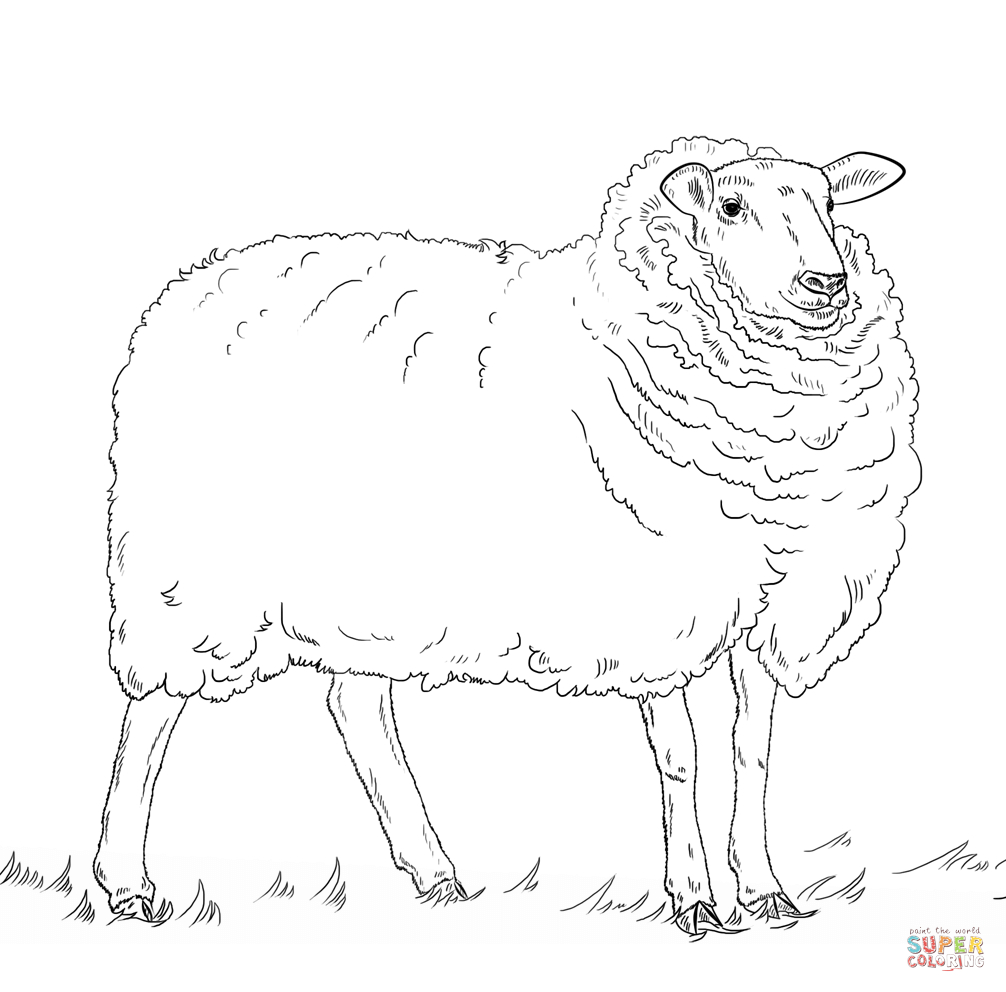 Ausmalbilder Schafe - Malvorlagen Kostenlos Zum Ausdrucken innen Schafe