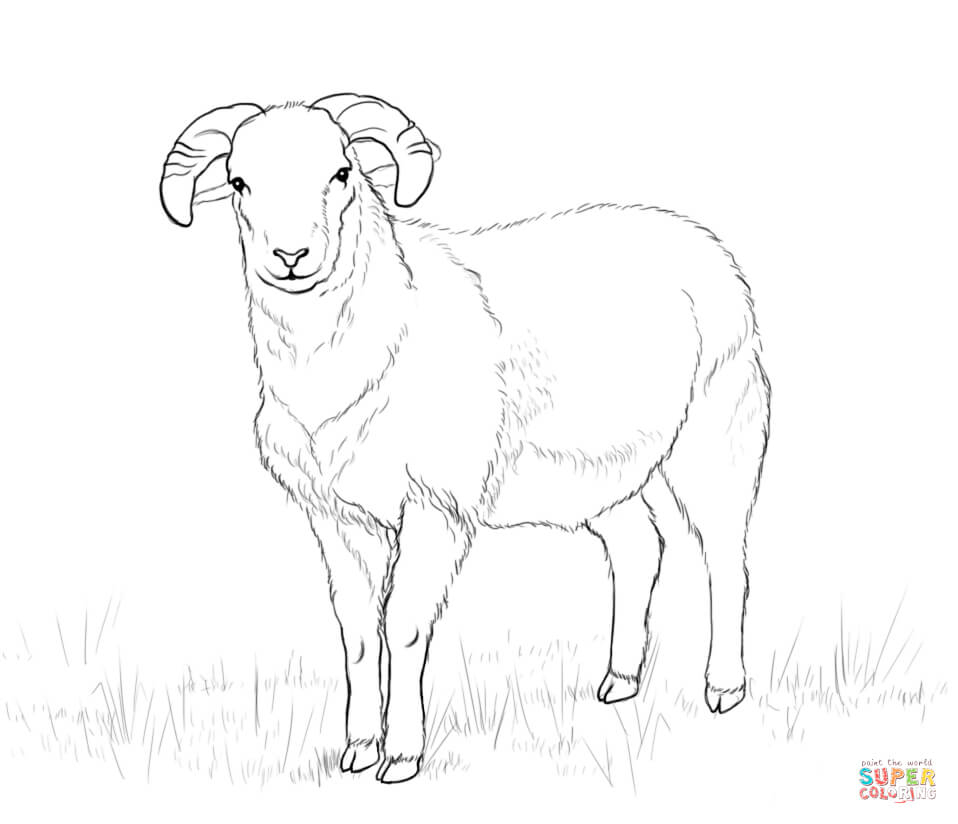 Ausmalbilder Schafe - Malvorlagen Kostenlos Zum Ausdrucken verwandt mit Ausmalbilder Schafe