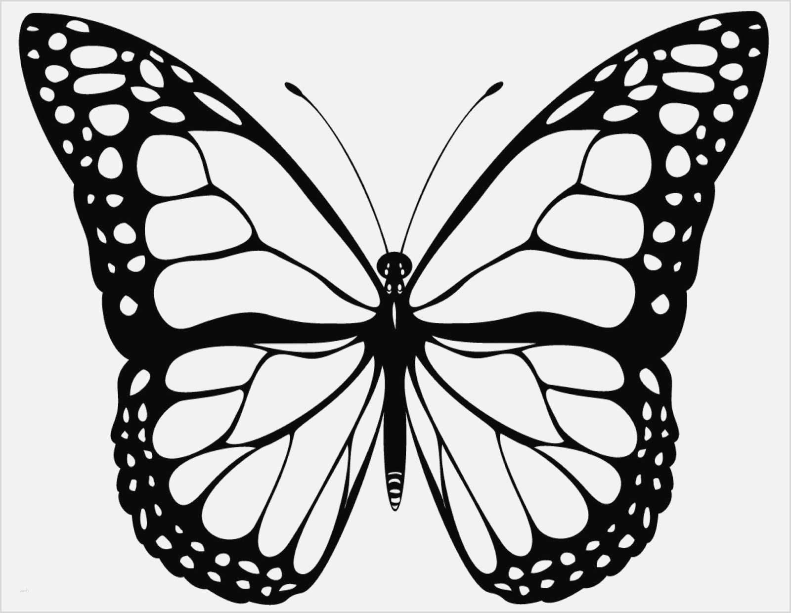 Ausmalbilder Schmetterling Mandala - 1Ausmalbilder bestimmt für Mandala Schmetterling Ausdrucken