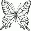 Ausmalbilder Schmetterling Zum Ausdrucken 01 | Malvorlagen in Malvorlage Schmetterling Kostenlos