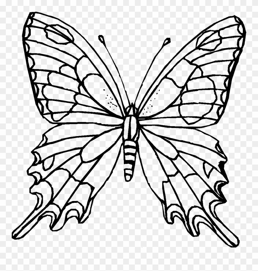 Ausmalbilder Schmetterling Zum Ausdrucken - Mandala Coloring bestimmt für Schmetterlinge Zum Ausdrucken Gratis