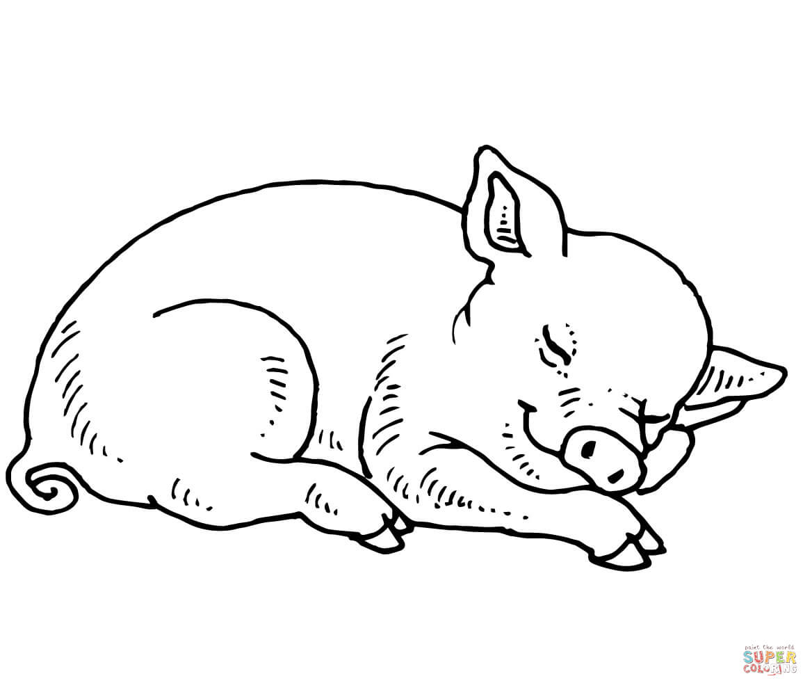 Ausmalbilder Schwein - Malvorlagen Kostenlos Zum Ausdrucken mit Ausmalbild Schwein