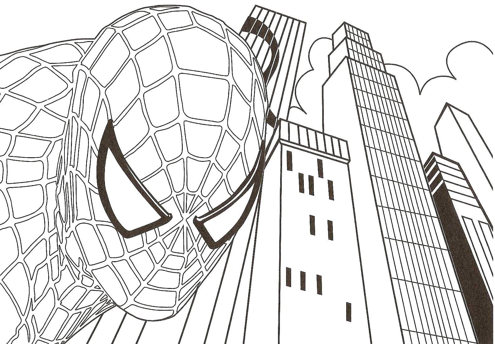 Ausmalbilder Spiderman. Drucken Spiderman Zum Ausmalen bestimmt für Malvorlage Spiderman