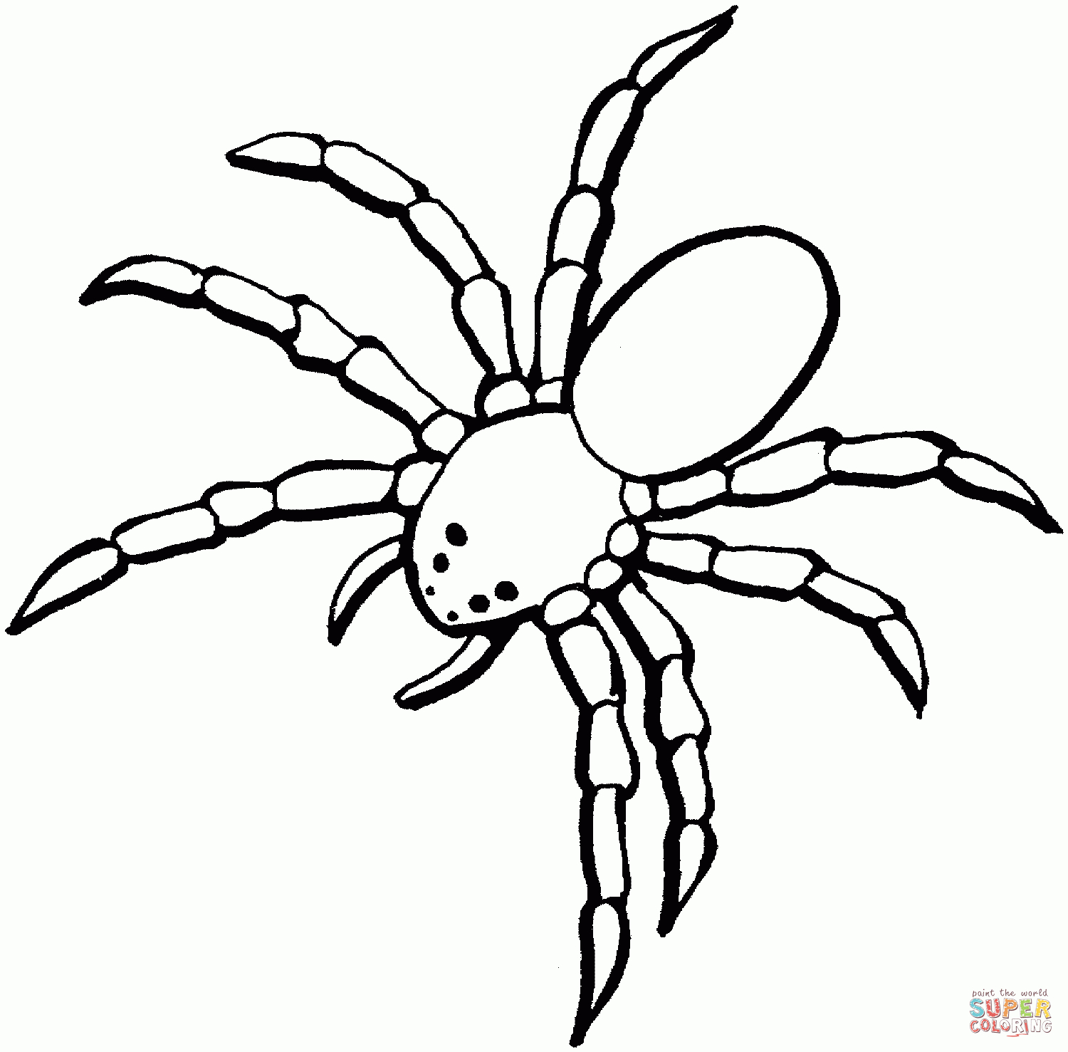 Ausmalbilder Spinne - Malvorlagen Kostenlos Zum Ausdrucken innen Spinnen Ausmalbilder Zum Ausdrucken