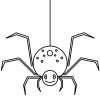 Ausmalbilder Spinnen - Malvorlagen Kostenlos Zum Ausdrucken bestimmt für Ausmalbild Spinne