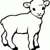 Ausmalbilder Tiere 3 (Mit Bildern) | Malvorlagen Tiere für Malvorlage Schaf
