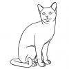 Ausmalbilder-Tiere-Katze-Katzen-Karikaturen-Comic-Cartoon mit Katzenbilder Comic