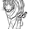 Ausmalbilder Tiere Tigers Tiger | Ausmalen für Tiger Malvorlage