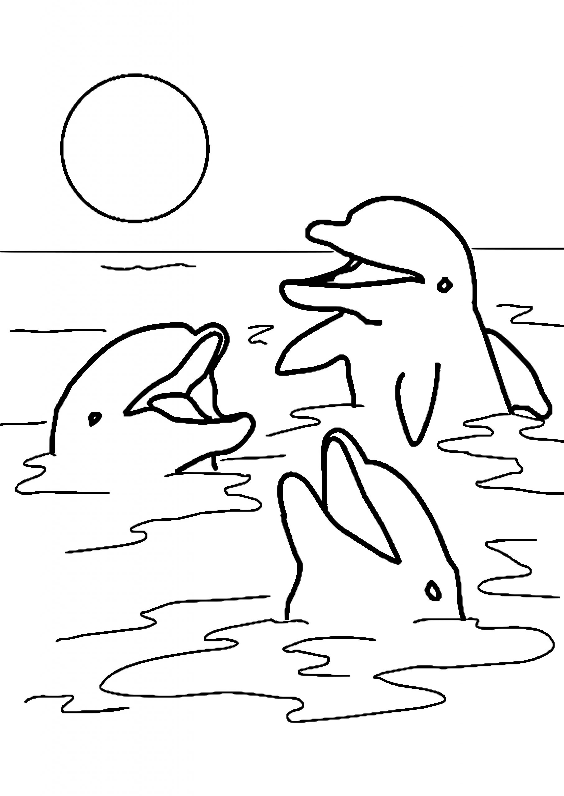 Ausmalbilder Wale Und Delfine (Mit Bildern bestimmt für Ausmalbilder Delfine Kostenlos