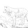 Ausmalbilder Wolf - Malvorlagen Kostenlos Zum Ausdrucken bei Ausmalbilder Wölfe Kostenlos