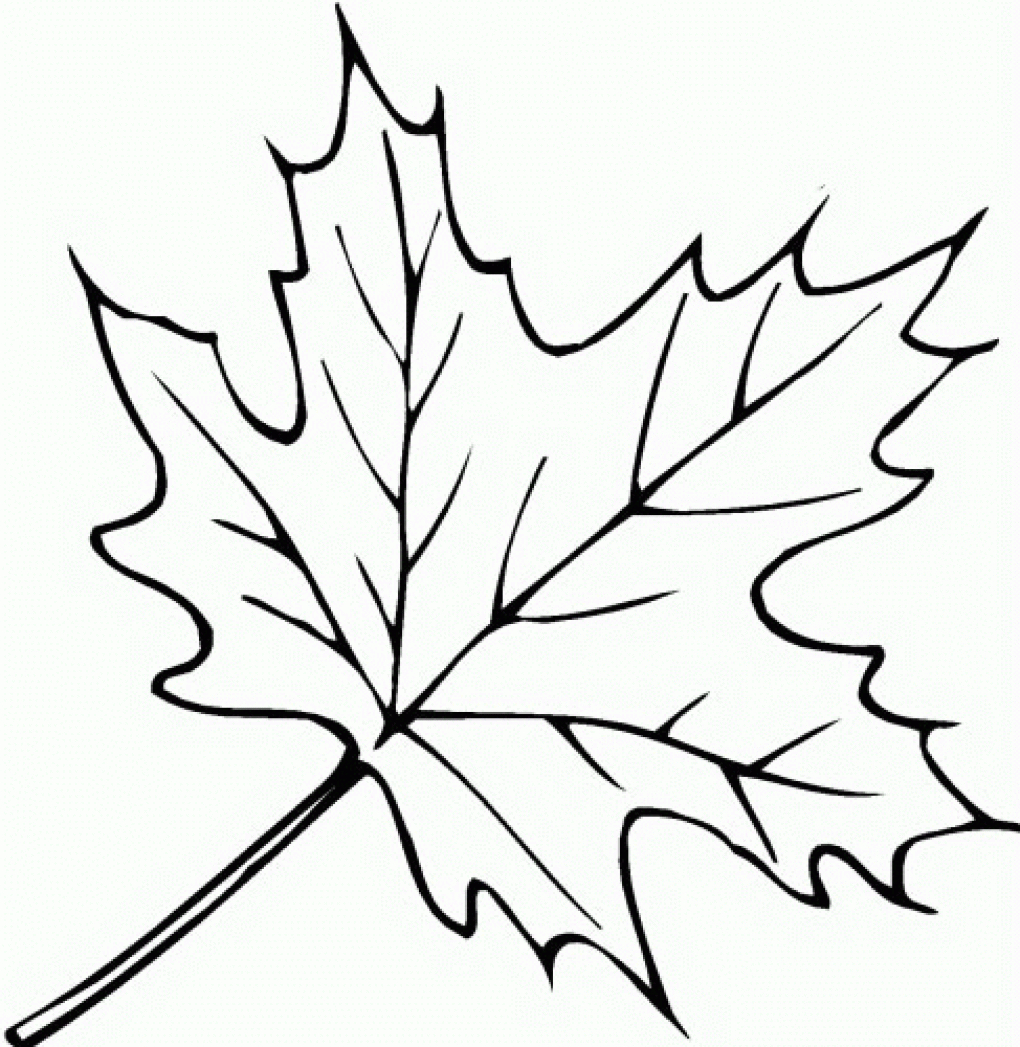 Autumn Leaves Drawing - Google Search (Mit Bildern) | Herbst verwandt mit Herbstblätter Zum Ausmalen