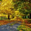 Autumn Road Here Free Free | Naturbilder, Landschaftsbilder verwandt mit Schöne Herbstbilder Kostenlos