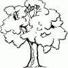 Baum Ausmalbild &amp; Malvorlage (Blumen) ganzes Malvorlagen Baum